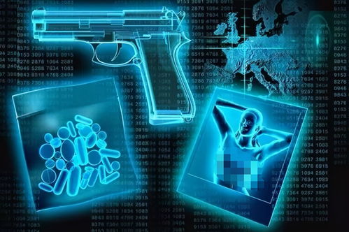 互聯網的深淵 暗網的真實面目與網絡安全的守護之盾